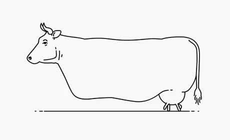 Figure 7 - “If it works, don’t touch it.”