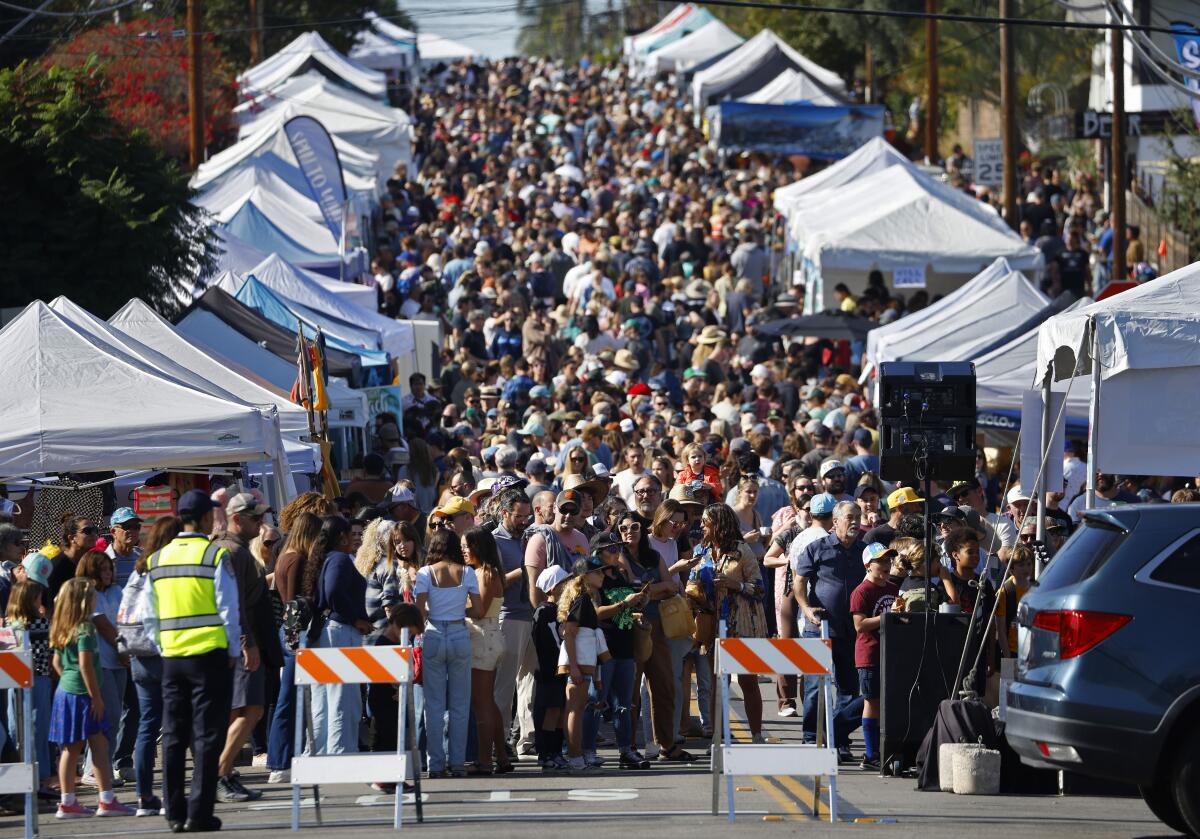 thousands of people crowd into a street fair among vendor booths 