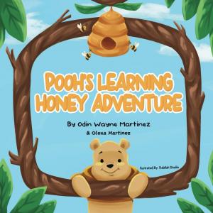22092550-pooh-s-honey-learning-adventure-300x300.jpeg