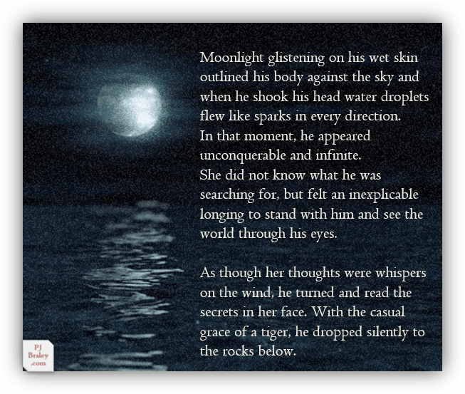 c-1722567851397-pj_braley_moonlight-glistened.png