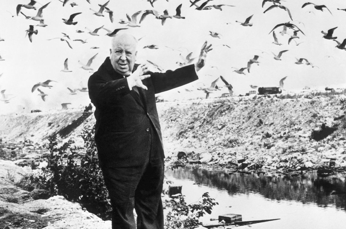 the+birds.png